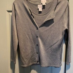 The loft silver glittery holiday twin set